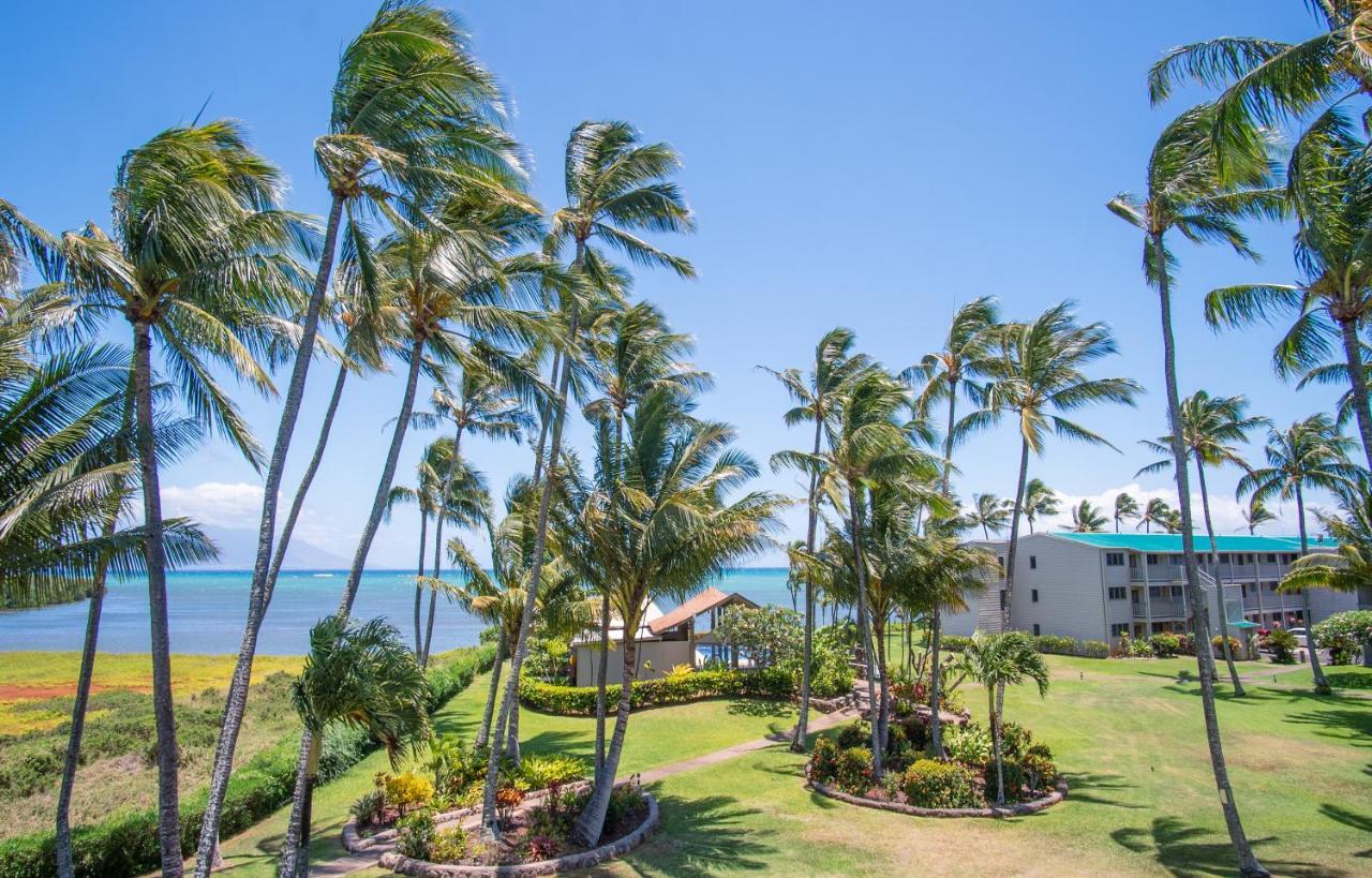 Molokai Island Retreat With Beautiful Ocean Views And Pool - Newly Remodeled! Apartment Ualapue Exterior foto